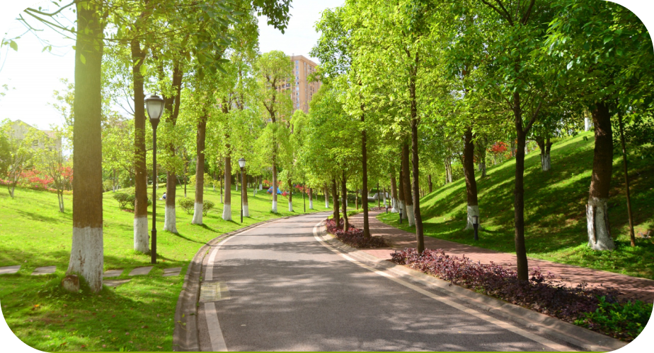 Supports sustainable urban planning